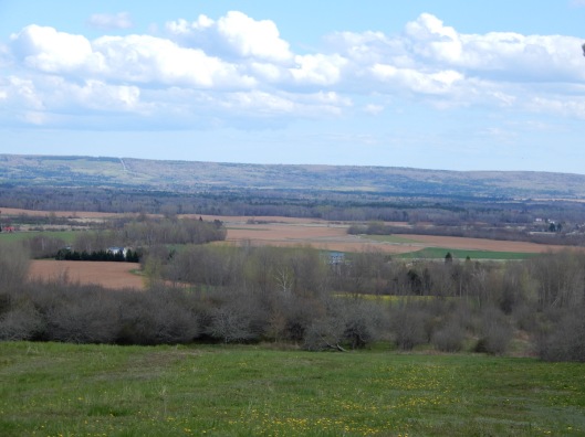 The Annapolis valley of NS from the Burgess Mtn Rd, on the North Mtn, looking due south, where I live. 4/2020